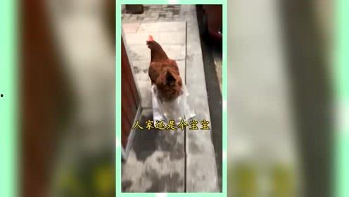 怎么屏蔽娱乐吃瓜群众,巧妙屏蔽娱乐吃瓜群众的实用指南